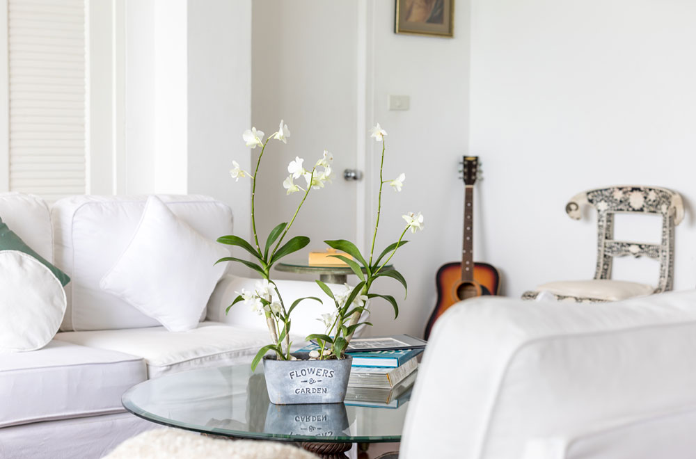 Interiors