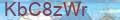 Validation code